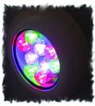Светодиодный прожектор TECTOR Lucy Pool RGB