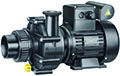 Насос BADU  21–41/58 G SPECK