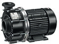 Насос BADU 21–60/46 G SPECK